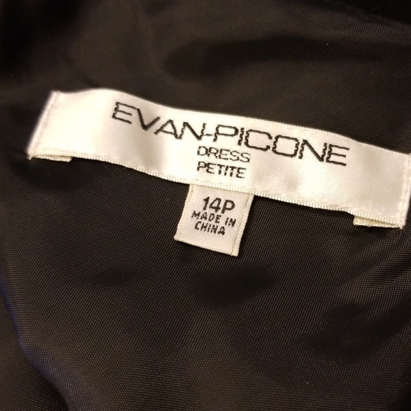 Evan-picone - Picture 6 of 7